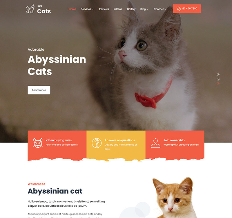 screencapture-sktperfectdemo-themepack-cats-2023-08-13-13_19_28