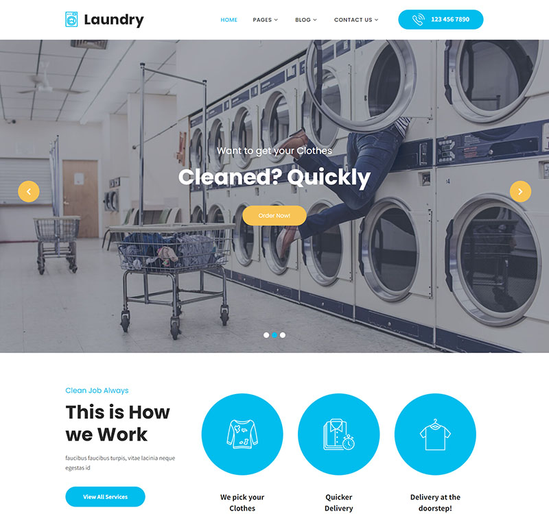 screencapture-sktperfectdemo-themepack-laundry-2023-08-13-14_04_30
