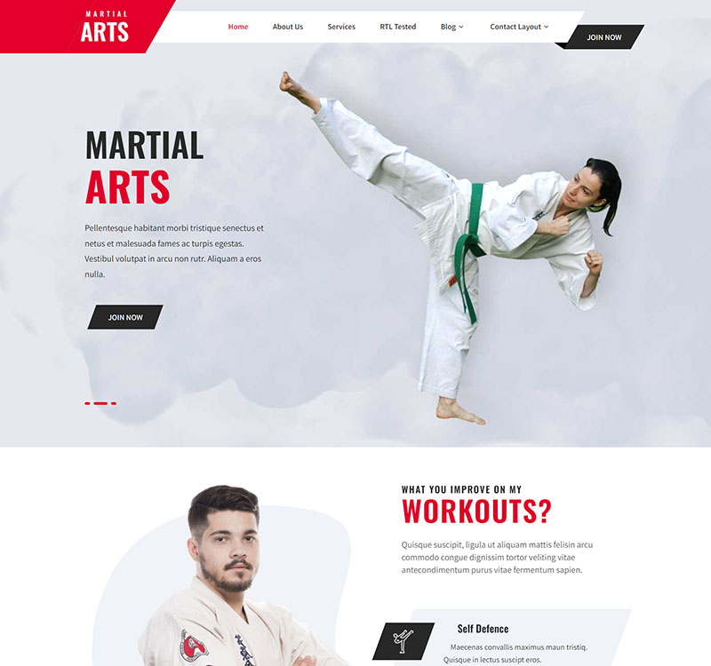 screencapture-sktperfectdemo-themepack-martial-arts-2023-08-13-13_39_07