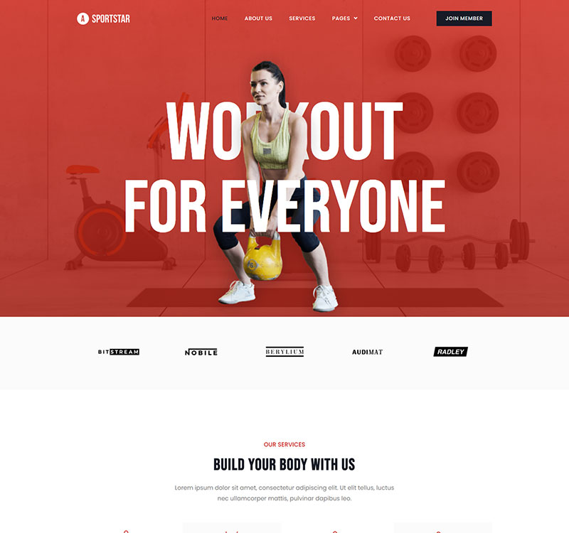 screencapture-template-kit-rootlayers-sportstar-template-kit-home-2023-11-12-22_22_26